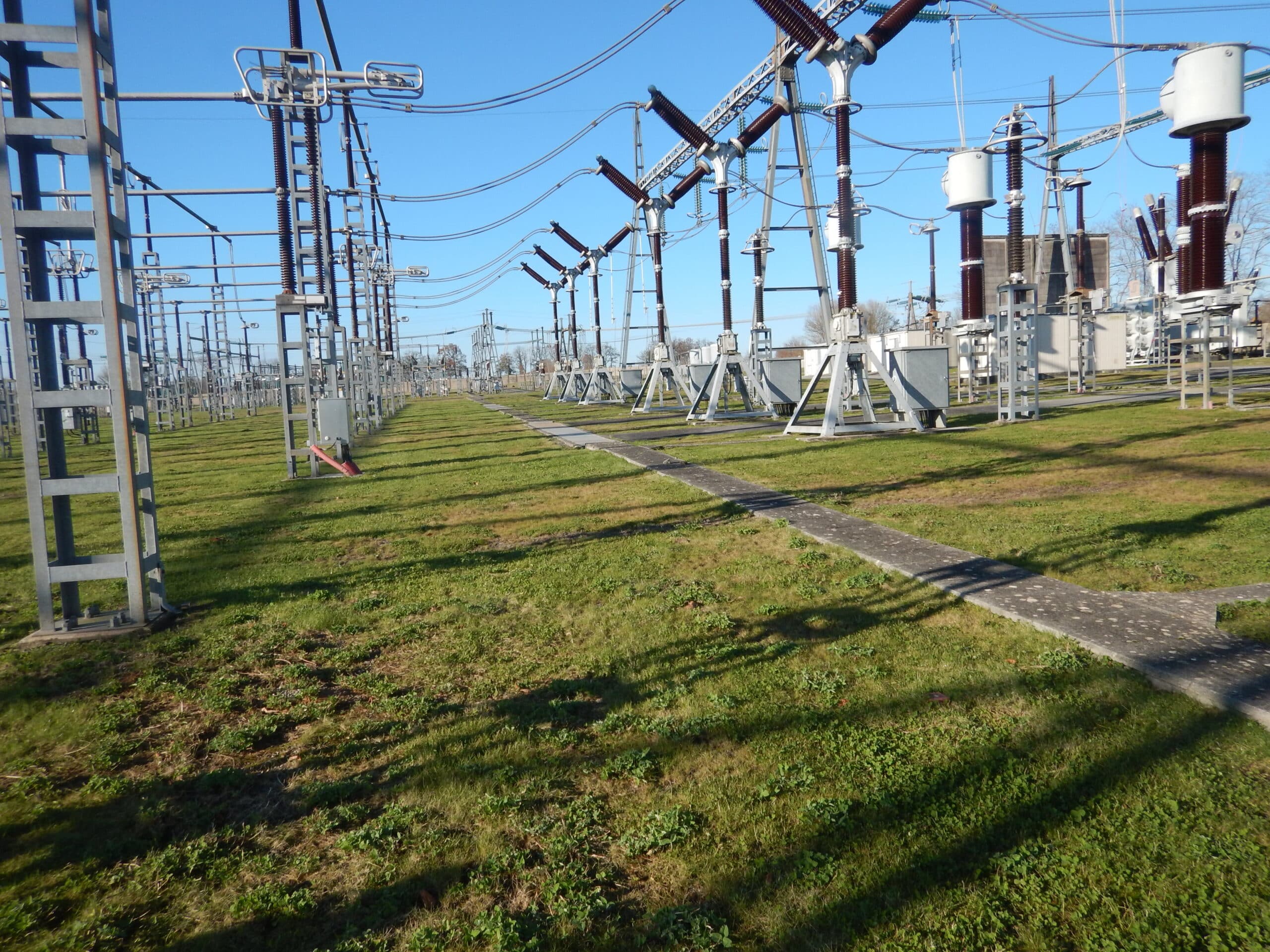 Végétalisation d'un espace