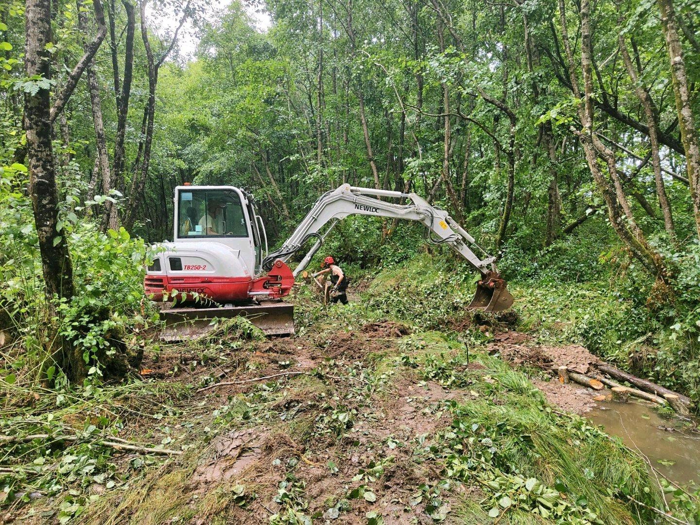 génie végétale réalisation