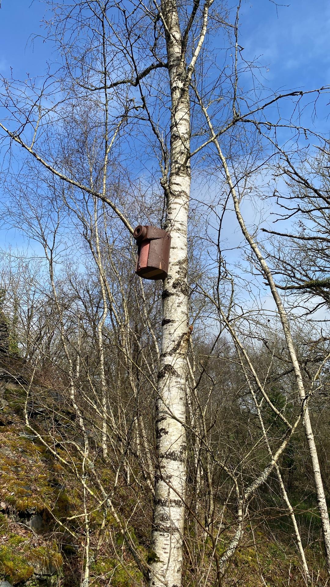 mesures compensatoires