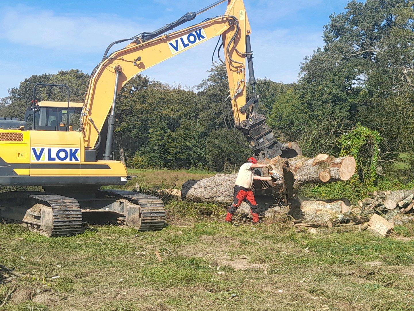 réalisation ripisylve