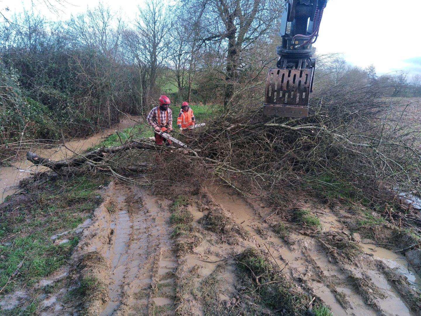 ripisylve réalisation