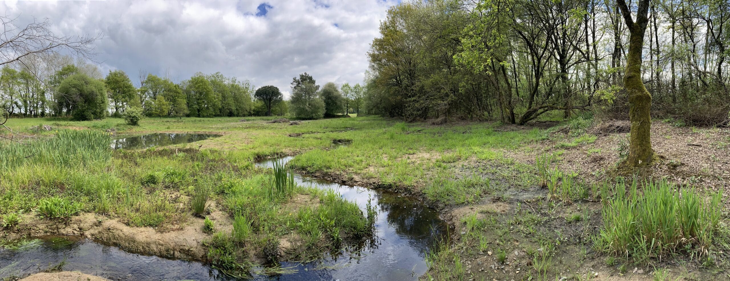 morphologie réalisation